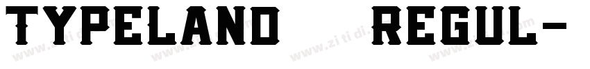 TypeLand 康熙字典體 Regul字体转换
